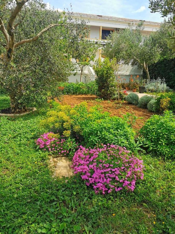 Apartments Sanja Povljana Εξωτερικό φωτογραφία