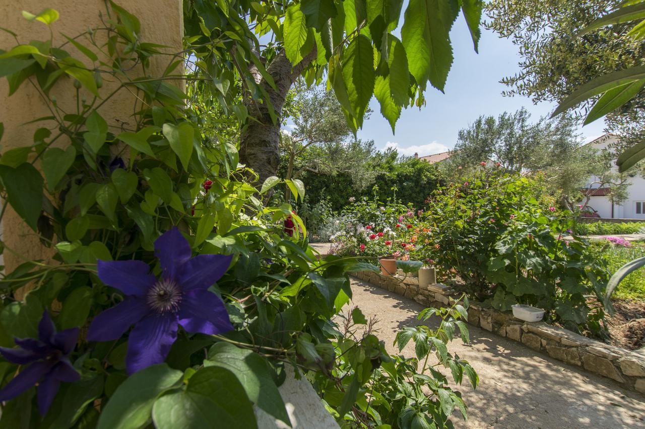Apartments Sanja Povljana Εξωτερικό φωτογραφία