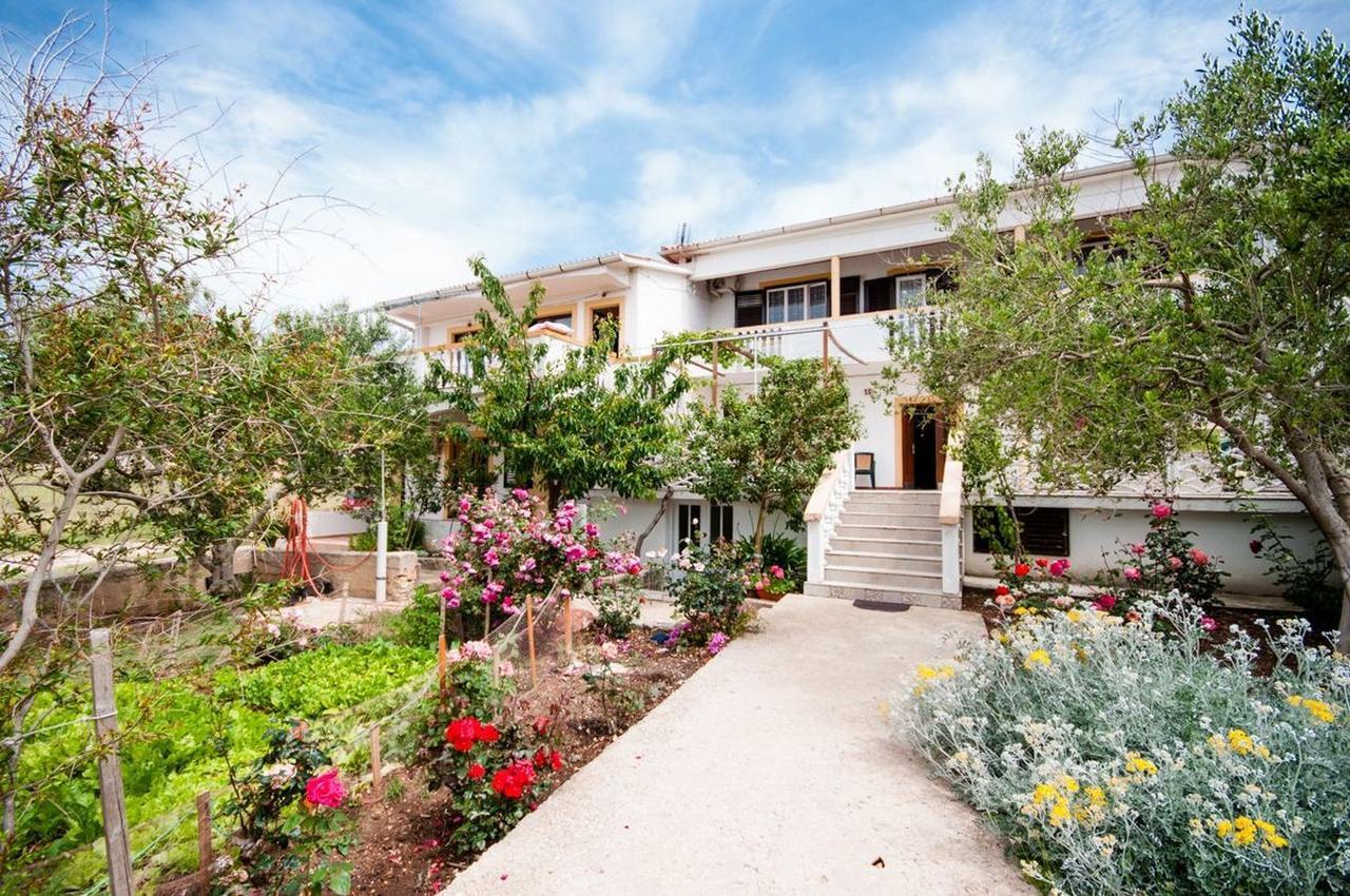Apartments Sanja Povljana Εξωτερικό φωτογραφία